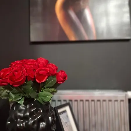 Apartament POLE DANCE Apartment Lalka Miłości *