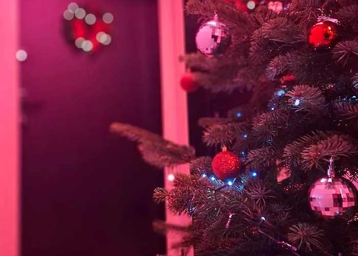 Pole Dance Lalka Milosci Appartement